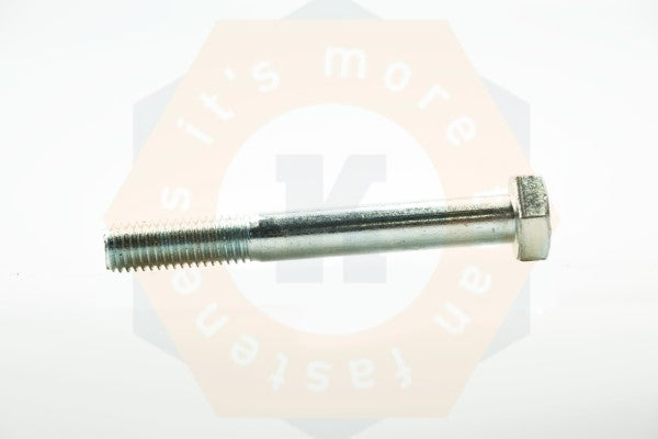 BOUT DIN 931 8.8 EV M 6 X 55 - 200