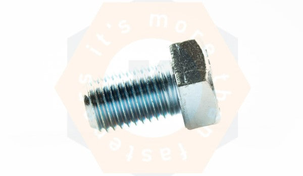 BOUT DIN 933 8.8 EV M 10 X 40 - 100
