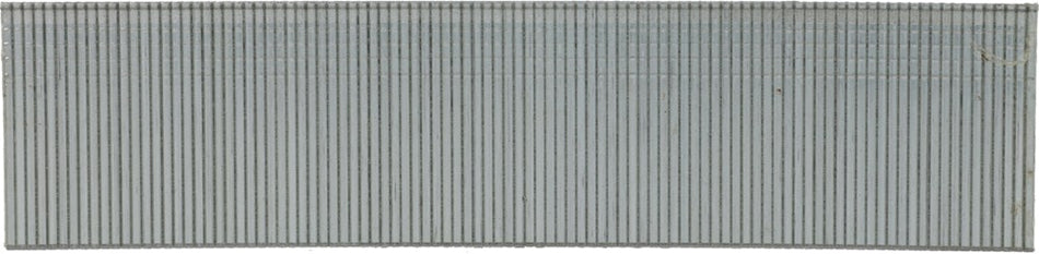 372418_AYxxEAAP-FRONT_largepng.png