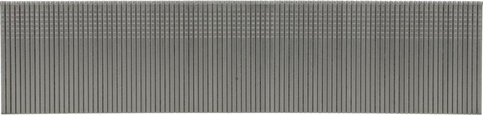 372419_AXxxEGA-FRONT_largepng.png