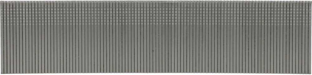 372419_AXxxEGA-FRONT_largepng.png