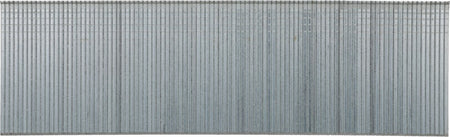 372423_AXxxEAAP-FRONT_largepng.png