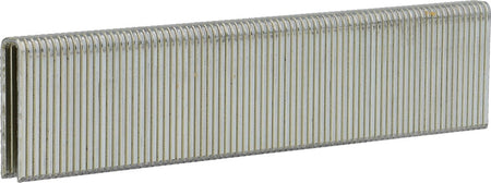 380573_LxxBAB-FRONT_largepng.png