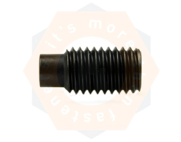 SCHROEF DIN 915 45H ZW M12 X20 -100