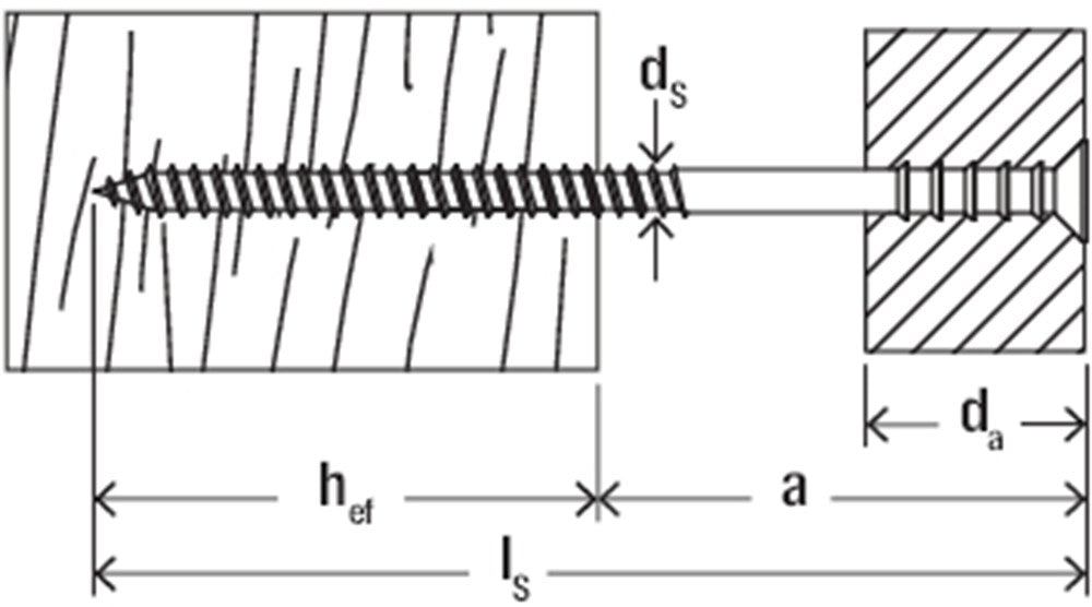 W1_PF_Z_01_JUSS_F_SALL_AQQ_V1.jpg